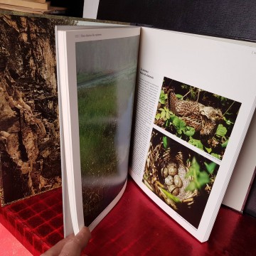 BOSQUES DEL CANADÁ, PERCY KNAUTH. libros de viajes librería online