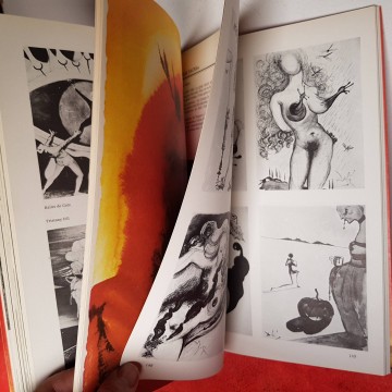 SALVADOR DALÍ I ELS LLIBRES llibre art cataleg pintures escrits textos