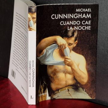 CUÁNDO CAE LA NOCHE, MICHAEL CUNNINGHAM novela gay librería online