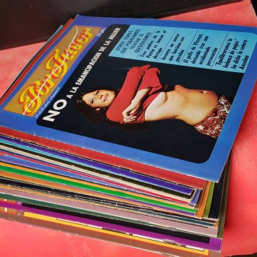 LOTE REVISTAS POR FAVOR satira política año 1 2 librería online