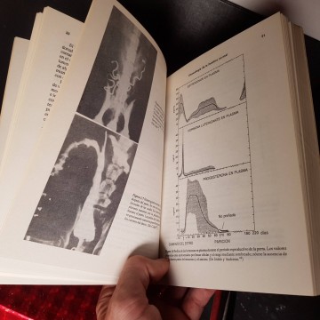 REPRODUCCIÓN EN EL PERRO Y EL GATO libros veterinaria zoología