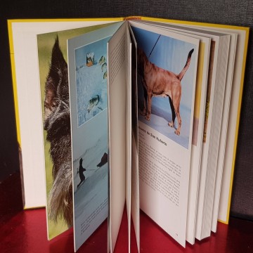 TODOS LOS PERROS DEL MUNDO razas perros caninas libro catalogo