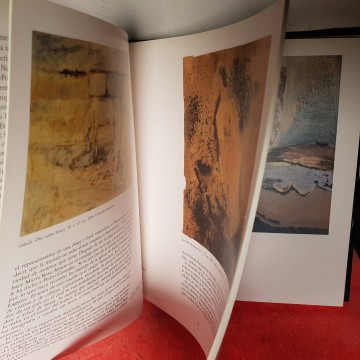 pedro gonzalez pintor catalogo libro biblioteca de artistas canarios
