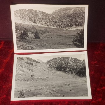 pla de boet alins pirineu fotografies antigues