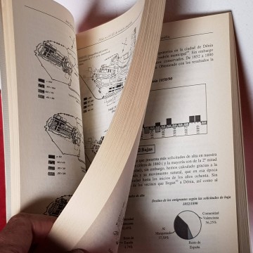 DENIA EN EL S. XIX, SU EVOLUCIÓN DEMOGRÁFICA, JAVIER CALVO PUIG.