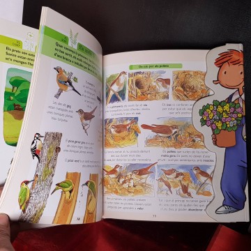 EL TEU PRIMER VOX DE LA NATURA.