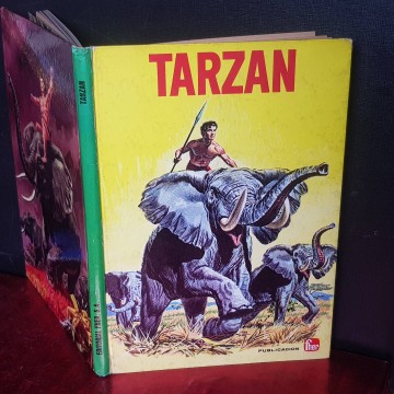 TARZÁN Y EL REPTIL.