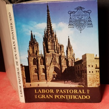 LABOR PASTORAL DE UN GRAN PONTIFICADO.