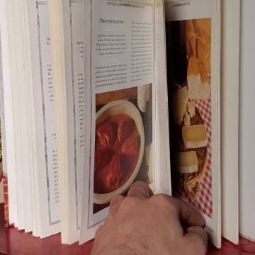 TAPAS, PINCHOS Y TENTEMPIÉS, EMILIA GONZÁLEZ SEVILLA.