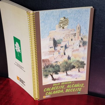 BAJO ARAGÓN I, CALACEITE, ALCAÑIZ, CALANDA, BECEITE.