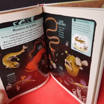 Llibre El meu primer larousse dels animals llibres infantils en català comprar
