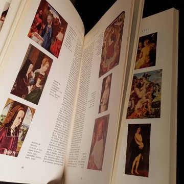 HISTORIA ILUSTRADA DE LA PINTURA DESDE EL ARTE RUPESTRE AL ABSTRACTO.