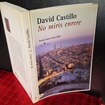 NO MIRIS ENRERE, DAVID CASTILLO.