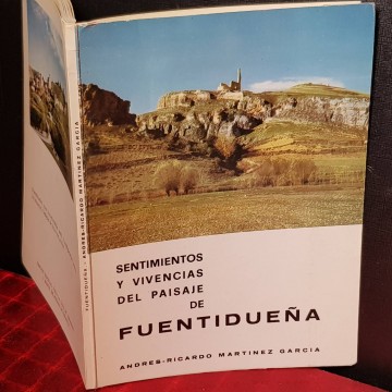 SENTIMIENTOS Y VIVENCIAS DEL PAISAJE DE FUENTIDUEÑA.