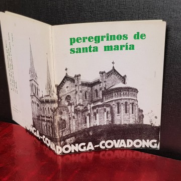 PEREGRINOS DE SANTA MARÍA COVADONGA.