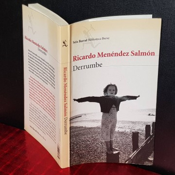 DERRUMBE, RICARDO MENÉNDEZ SALMÓN.