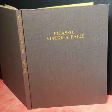 PICASSO, VIATGE A PARÍS.