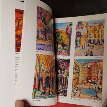 SANTAPAU EL COLOR DE LA LUZ, JOAN LLUÍS MONTANÉ.