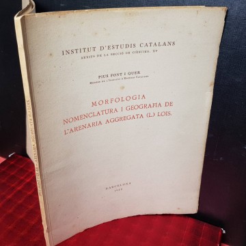MORFOLOGIA, NOMENCLATURA I GEOGRAFIA DE LA L'ARENARIA AGGREGATA LOIS.