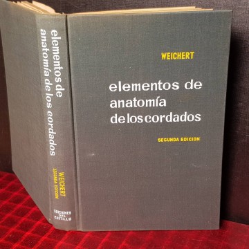 ELEMENTOS DE ANATOMÍA DE LOS CORDADOS, CHARLES K. WEICHERT.