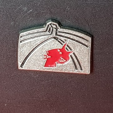 Pin pont del diable de Martorell comprar