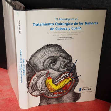 EL ABORDAJE EN EL TRATAMIENTO QUIRÚRGICO DE LOS TUMORES DE CABEZA Y CUELLO.