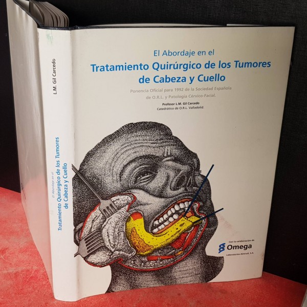 EL ABORDAJE EN EL TRATAMIENTO QUIRÚRGICO DE LOS TUMORES DE CABEZA Y CUELLO. EL ABORDAJE EN EL TRATAMIENTO QUIRÚRGICO DE LOS TUMORES DE CABEZA Y CUELLO.