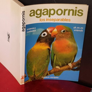 AGAPORNIS, LOS INSEPARABLES.