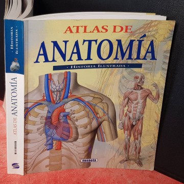 ATLAS DE ANATOMÍA ILUSTRADO.