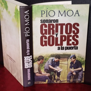 SONARON GRITOS Y GOLPES, PÍO MOA.