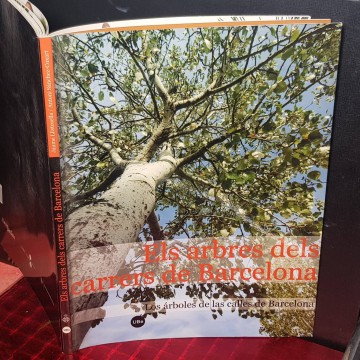 ELS ARBRES DELS CARRERS DE BARCELONA.