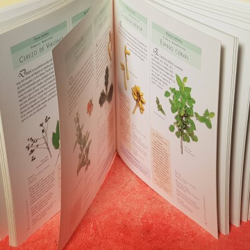 PLANTAS MEDICINALES, DAVID HOFFMANN.