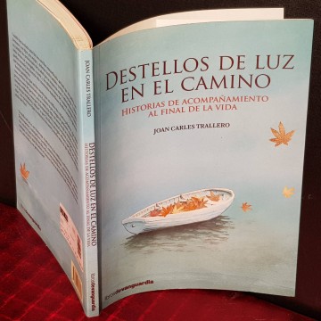 DESTELLOS DE LUZ EN EL CAMINO, JOAN CARLES TRALLERO.