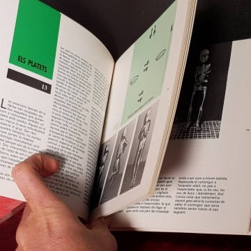 LA PROCESSÓ DE VERGES, JORDI ROCA I ROVIRA.
