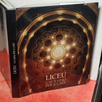 LICEU, UN ESPAI PER A L'ART.
