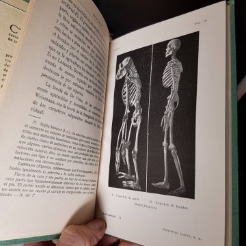 ANTROPOLOGÍA, ERNST FRIZZI.