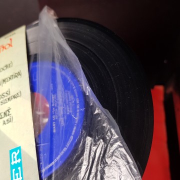 Disco vinilo single Mary Lo y canta en español