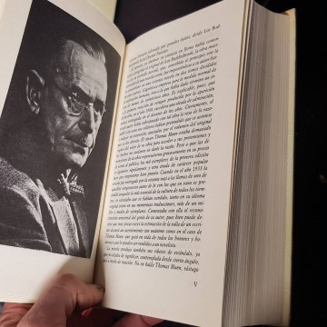 La montaña mágica, Thomas Mann.