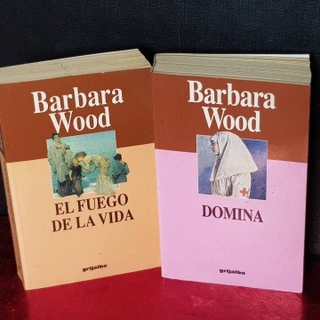 Lote 2 novelas Barbara Wood.
