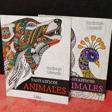 Lote 2 cuadernos para colorear Fantásticos animales.