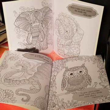 Lote 2 cuadernos para colorear Fantásticos animales.