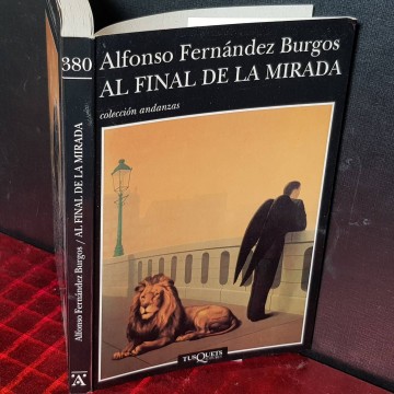 Al final de la mirada, Alfonso fernández Burgos
