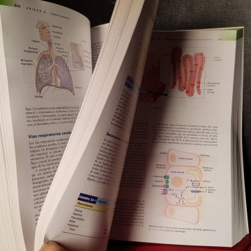 Fundamentos de fisiopatología, Carol Mattson Porth.
