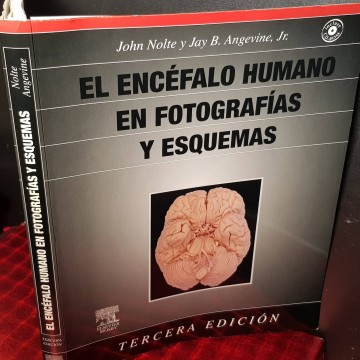 El encéfalo humano en fotografías y esquemas, John Nolte.