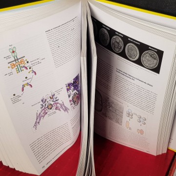 Biología celular y molecular, Harvey Lodish.