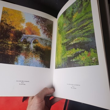 Libro obra del pintor rueda, j.llp s. 6 € comprar
