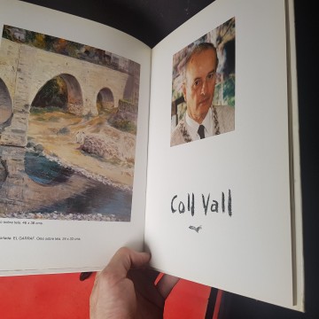 Biografía y catálogo artístico del pintor Coll Vall 7 €