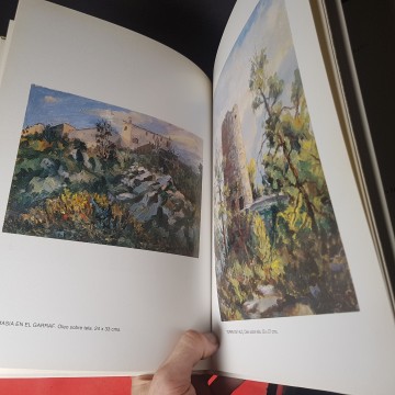 Biografía y catálogo artístico del pintor Coll Vall 7 €