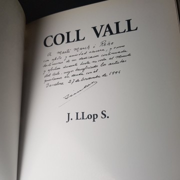 Biografía y catálogo artístico del pintor Coll Vall 7 €