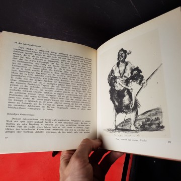 Libro pinturas de Goya Gastón Diehl 0. 50 €